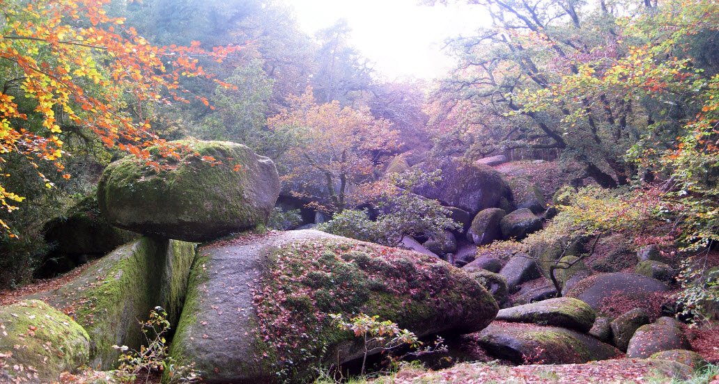 Poërop Arboretum, Huelgoat, France, France